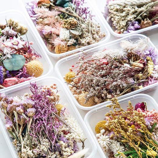 DIY mixed flower box mixed dried flower material package handmade material package home decoration real flowers air-dried natural purple wind flower material dried flower package
