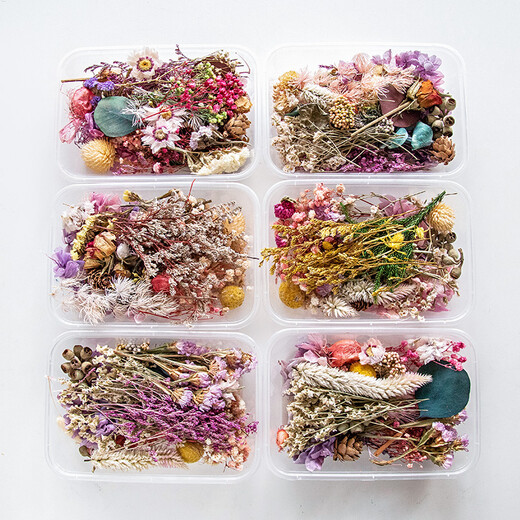 DIY mixed flower box mixed dried flower material package handmade material package home decoration real flowers air-dried natural purple wind flower material dried flower package