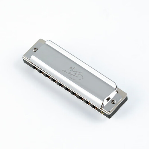 Swan (SWAN) blues harmonica 10-hole C key children's beginners entry professional blues genuine paddy tuning silver