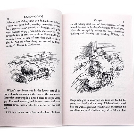 Charlotte's Web Charlotte's Web EB White EB White English version English reading novel chapter book extracurricular reading material Lansie index 680L Newbery Award Winner Winner