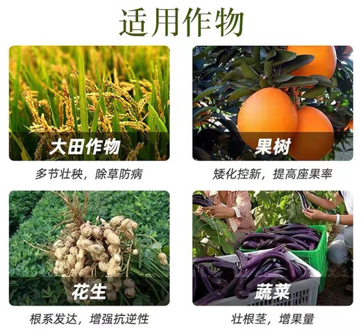 Jianpai Suzhuang 25% Paclobutrazol Controls Shoots, Promotes Flowers, Preserves Fruits, Increases Dwarfing, Chlormequat Controls Growth, Anti-Lodging Regulator 1000ml