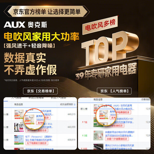 AUX hair dryer household 1800W high power high wind hair dryer constant temperature hair dryer soft sound noise reduction hair dryer practical gift for family and girlfriend, champagne color blue light hair care + quick drying + soft sound and low noise