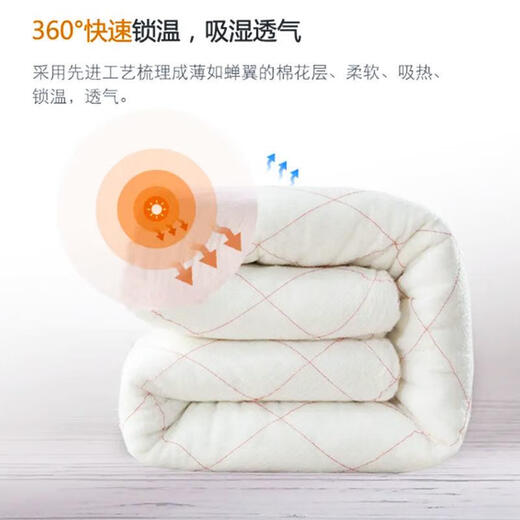 棉被垫被床垫棉被子冬天加厚学生宿舍棉花被芯春秋被褥棉胎被 2米* 2.2米 10 斤