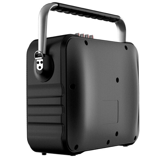 Malata (malata) outdoor audio electric acoustic guitar bass folk singing instrument speaker square dance portable wireless Bluetooth mini speaker with microphone