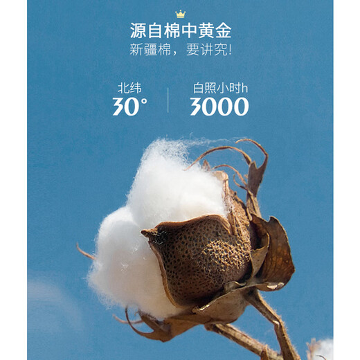 PRIDEME light luxury summer thin ice silk ice silk short-sleeved white t-shirt men's slim convex glue bear round neck half-sleeved men's top JJLP23240-white XL