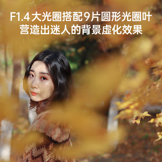 SIGMA 30mm F1.4 DC DN Contemporary half-frame large aperture fixed focus lens mirrorless portrait live broadcast (Sony E-mount)