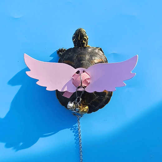 Shantou Linun Turtle Pet, corde tortue, corde de traction tortue, artefact de sangle spécial, marche, corde de tortue, ailes, ailes volantes, rose, m moyen, adapté au buste 838 cm