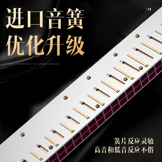 天鹅（SWAN）德国进口音簧天鹅28孔复音C调口琴专业演奏级高级成人儿童初学者 【【高端演奏款】】28孔金色复音口琴