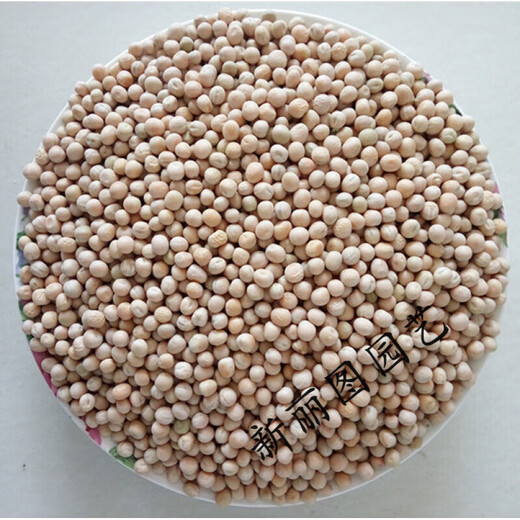 Is pigeon feed corn, sorghum, wheat, peas, pigeon food nutrition, pigeon food, bird food, pigeon food, letter for young pigeons, peas, 5 Jin, Jin is equal to 0.5 kg