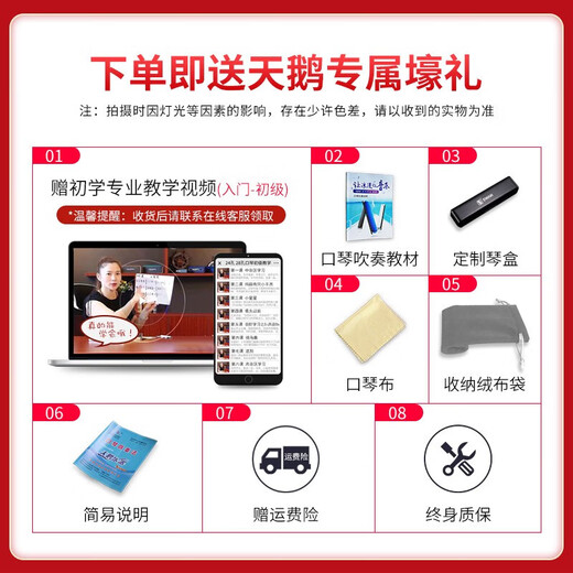 天鹅（SWAN）单音口琴24孔c调儿童小学生初学者入门C大调带简谱音符口风琴 【带音符标记】单音24孔C调黑色