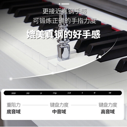 探律（TANLV）钢琴电钢琴88键重锤专业成人初学者幼师儿童家用立式数码电子钢琴 T04烤漆黑-大立柜-纯钢重锤带轮