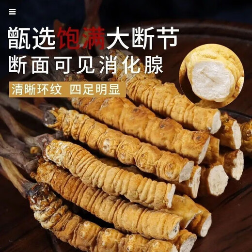 Authentische tibetische Gegend naqu großes gebrochenes Gras frisch cordycep