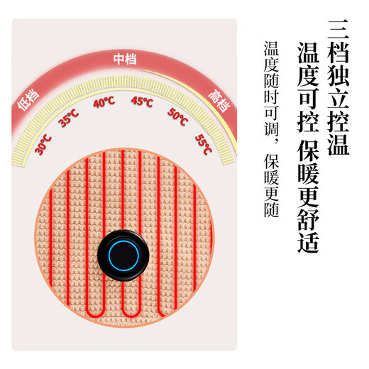 Ishizaki Seiki Electric Heating Warming Blanket Heating Warming Shawl USB Washable Cover Leg Shawl Outdoor Home Office Anchor Red 1