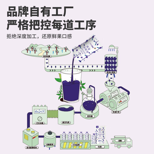 早康青海黑枸杞原浆210ml花青素鲜黑苟杞汁构纪子原液便携袋独立小袋
