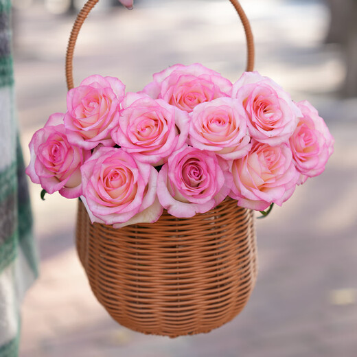 Jingdong flowers rose Aisha 10 stems soilless cultivation branch length 50-55cm gift flower Shandong base source straight