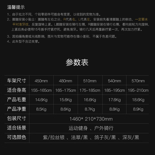 喜德盛【门店提车】公路自行车AD500电子变速油碟刹桶轴24速碳纤维前叉 鸽子灰/黑 480mm