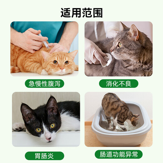 Newbeijian Cat Intestinal Prescription Food Cat Conditioning Soft and Loose Stools and Diarrhea for Adult and Kittens Full Price Prescription Cat Food
