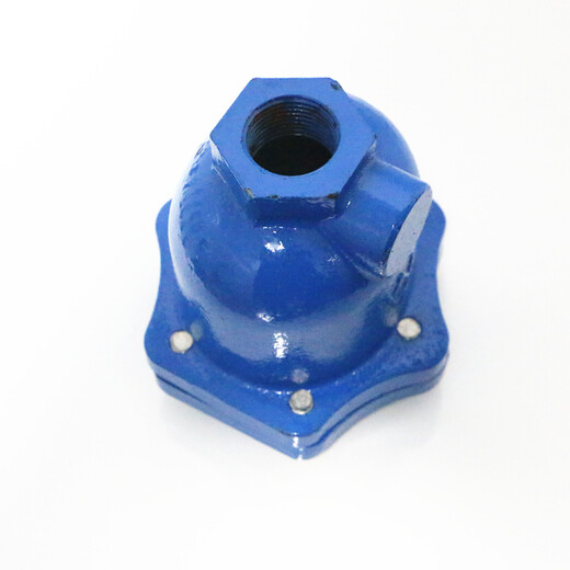 Amico micro soupape d'échappement 9708 corps en fonte pièces internes en acier inoxydable échappement automatique WP1X installation verticale échappement général 15-50 2 pouces micro soupape d'échappement DN50