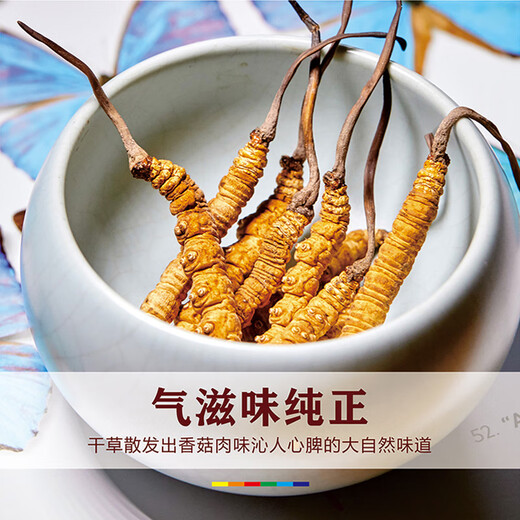 晶草冬虫夏草2根/g50g约100根父亲节礼物大个头虫草王商务送礼礼盒