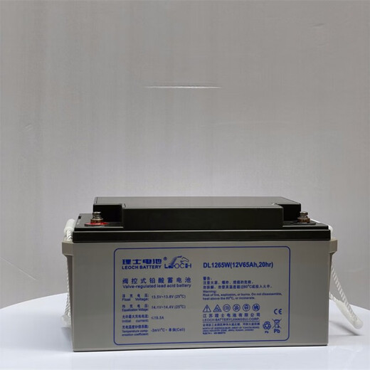 理士蓄电池12V18AH/24AH/38AH/65AH/100AH UPS电源直流屏通信储能电池 DJM12200S 12V200AH