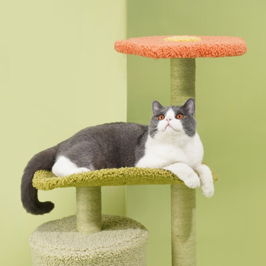 ZEZE Adora Cat Climbing Frame, Cat Nest, Integrated Cat Claw Claw Cat Scratching Post, Jumping Platform Toy, Small Cat Tree, Multi-layer Wear-Resistant, 78cm, 4 Layers, Does Not Take Up 53*37*78cm