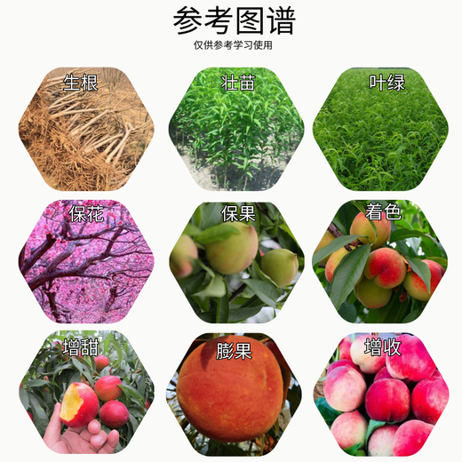 Senhuo Jinbang Zheng's Chemical 8% Aminobutanol Garden Green Plant Resistance, Stress and Disease Resistance, Vegetable Expansion, Coloring, Increase Yield, Cold Resistance, Promote Cell Division, Preserve Flowers and Fruits, Growth Regulator 50g/bag*10 bags
