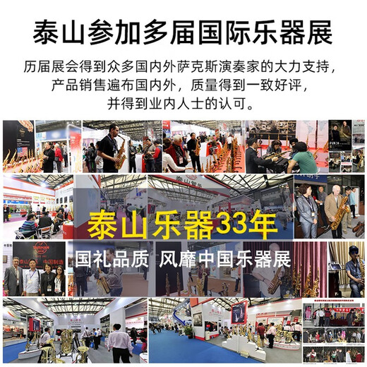 泰山降e调萨克斯TSAS-9900FA黑镍工艺白铜材质初学成人专业演奏级 TSAS-9900FA