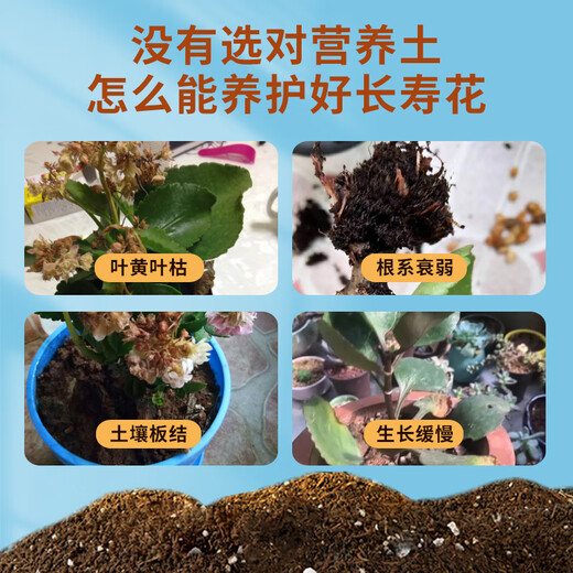 Dewoduo longevity flower special nutrient soil 15L gardening green plant potted flower soil organic composite matrix planting soil