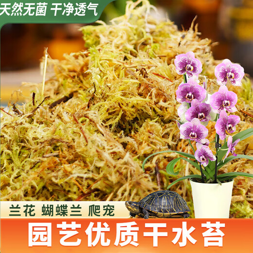 Shangyang sphagnum moss about 12L (level 2) turtle hibernating climbing pet Clivia orchid moss potted fluffy moisturizing nutritious soil