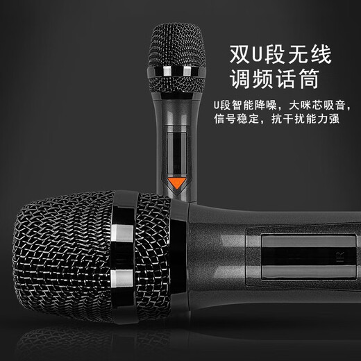 贝德空少三分频广场舞直播声卡音响一体机户外大功率K歌重低音箱带无线话筒 BD-H1585【12吋三分频+U段话筒】