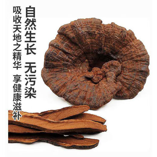 Ganjunzhuang violet ganoderma lucidum changbai montagne naturel sauvage noir ganoderma lucidum ganoderma lucidum tranches trempées dans de l'eau trempée dans la poudre de spores de vin ganoderma lucidum tranches 100g de ganoderma lucidum (envoyer wolfberry)