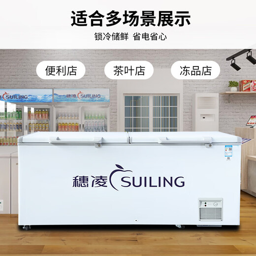穗凌冰柜商用冰柜大容量卧式冷柜 冷藏冷冻可转换 商用冰箱雪柜餐饮店大排档酒店后厨适用商用冷柜 【-25℃~10℃】BD-828