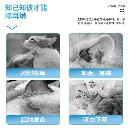 Hidoc cat and dog ear mite medicine ear pet ointment puppies and kittens compound nystatin otitis infection ointment 10g compound nystatin + ear cleaning solution