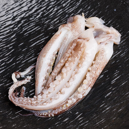 Mega Seafood Assorted 2Jin Jin equal to 0.5kg (inside 2 bags) Shrimp, Squid, Scallops, Mussels Seafood and Aquatic Products