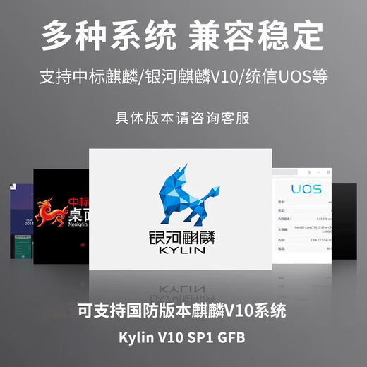 Weipaitu domestic server ARM64 architecture Taishan Kunpeng 920 secondary and tertiary hospital medical front-end computer intelligent software Galaxy Kirin OpenEuler Euler system package one (domestic ARM Kunpeng 920 eight-core desktop Kirin system) single host