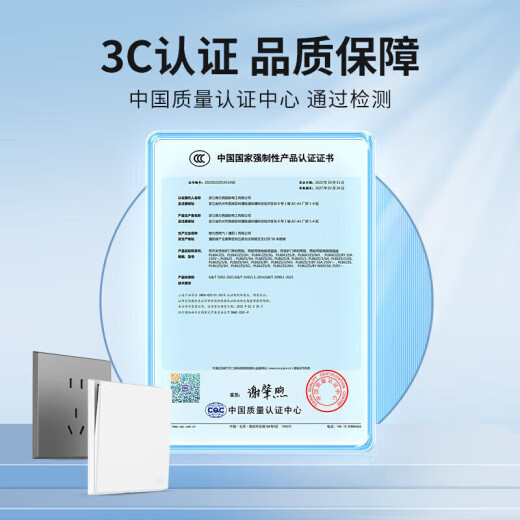 DELIXI switch socket panel CD229 series 10A oblique five-hole socket cream style 86 type matte white