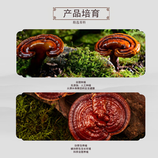 
Beijing Tongrentang Breaking Wall Ganoderma Lucidum Spore Powder Capsules Enhance Immunity Health Food Nutritional Products Gift Gift [Black Box Breaking Wall Ganoderma Lucidum Spore Powder] 5 Box Pack