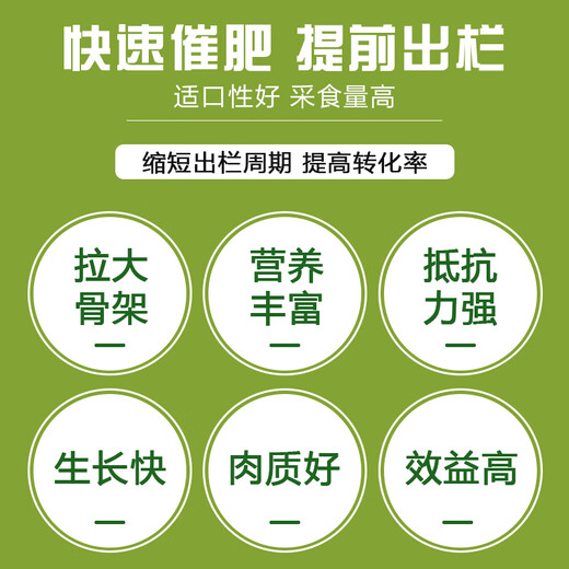 East China Zhengda 4% growth and fattening premix pig farm special medium pig feed for rapid fattening and weight gain 1 bag