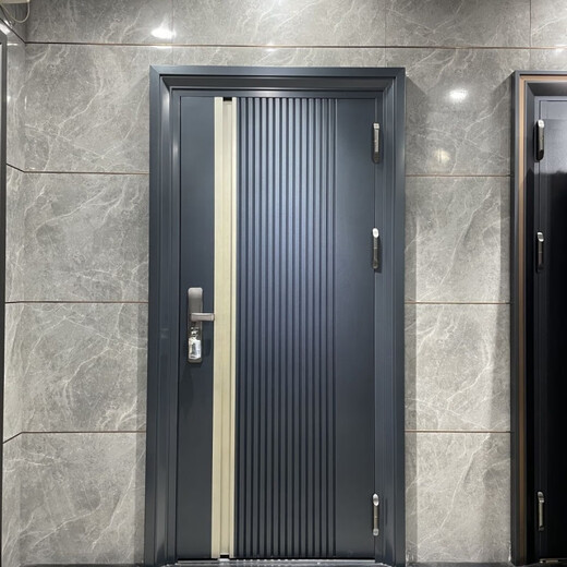 Vinoa manufacturer customized Korean style entry door minimalist Korean door double door anti-theft door single door high-end Korean door 980*2180*150