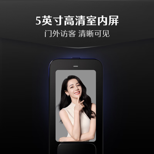 DESMAN smart door lock face palm vein recognition Sentinel visual cat eye large screen electronic lock Kirin Q50FVMax