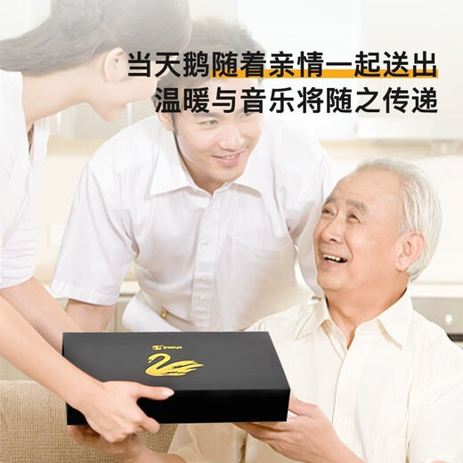 天鹅（SWAN）德国进口音簧天鹅口琴复音重音高端初学者男女成人专业演奏级送礼 24孔 12调套装 【专业演奏级】