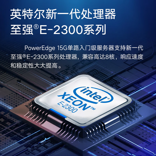 
Dell (DELL) R250/R350/R450 server host 1U rack-type ERP file sharing printing UFIDA Kingdee database R250 Xeon E-2356G 6 cores 12 threads 64G memory丨3*8TB hard disk丨H755 8G cache