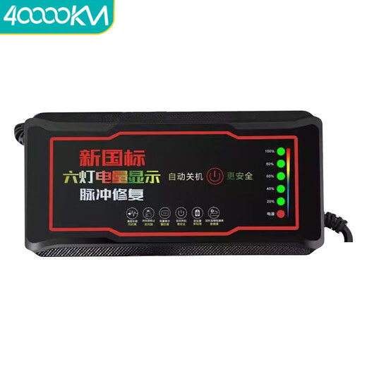 四万公里 电动车电瓶充电器60V20AH爱玛雅迪台铃小刀石墨烯通用 SWY6622