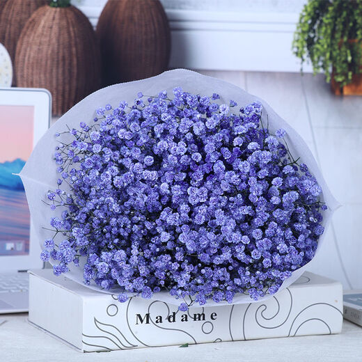 AIMAN Yunnan straight-haired dried flower bouquet real flower home furnishing decoration small fresh living room office decoration air-dried bouquet purple baby's breath without vase
