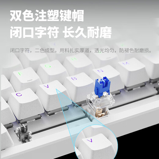 Rapoo V500PRO-98 upgraded model 98-key wired backlit mechanical keyboard cool RGB side light gaming e-sports chicken office full-key non-gush programmable keyboard black axis