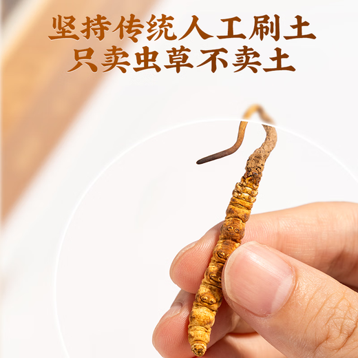 Lei yun shang cordyceps sinensis liofilizado Cordyceps sinensis Cordyceps sinensis Seleccionado Cordyceps de alta calidad sinensis Cordyceps sinensis Enviar a los padres a familiares y amigos A32-1G Broken Grass