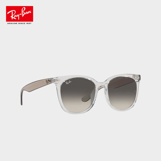 雷朋（RayBan）【官方正品】CORE系列太阳镜方形玳瑁色全框0RB4379D710/1355