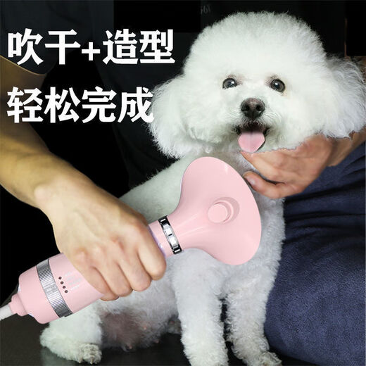 Little Sweat Pet Hair Blowing Artifact Hair Blowing Comb Dog Hair Blowing Machine Integrated Hair Dryer Teddy Hair Blowing Comb Beauty Special [One-click Hair Removal] Luxury Silver