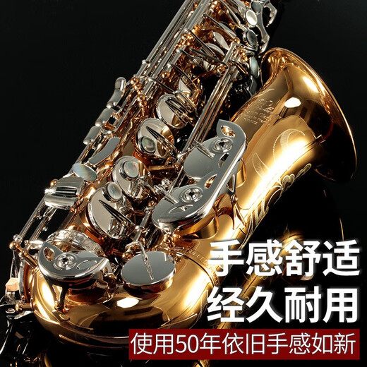 Rollins Rollins Saxophone E-Flat 9902 Alto Saxophone Instrument Performance Performance General Model 9902 Alto - Modèle de base (Ratio Cost-Performance)