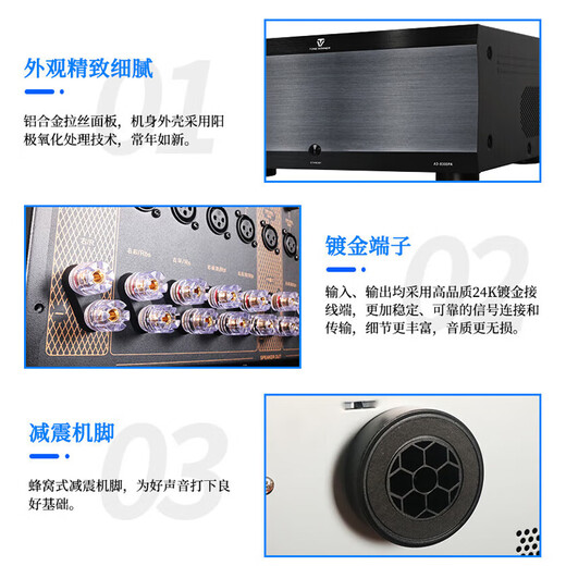 Tianyi (Winner) AD-8300PA Panoramic Sound Home Theater Amplifier 11-channel HiFi power amplifier for home use with independent power amplifier AD-8300PA